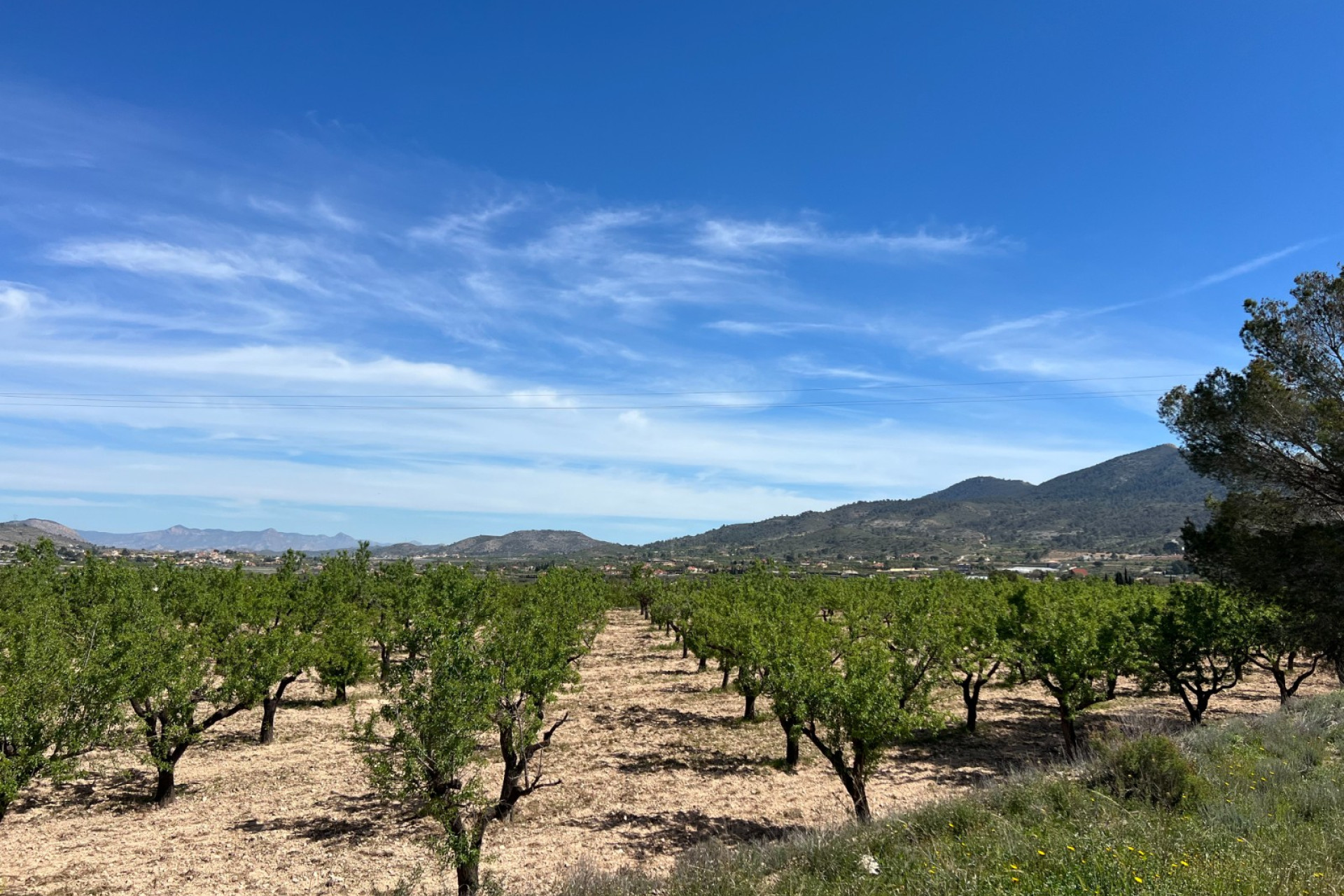 Revente - Terrain -
Hondón de los Fráiles