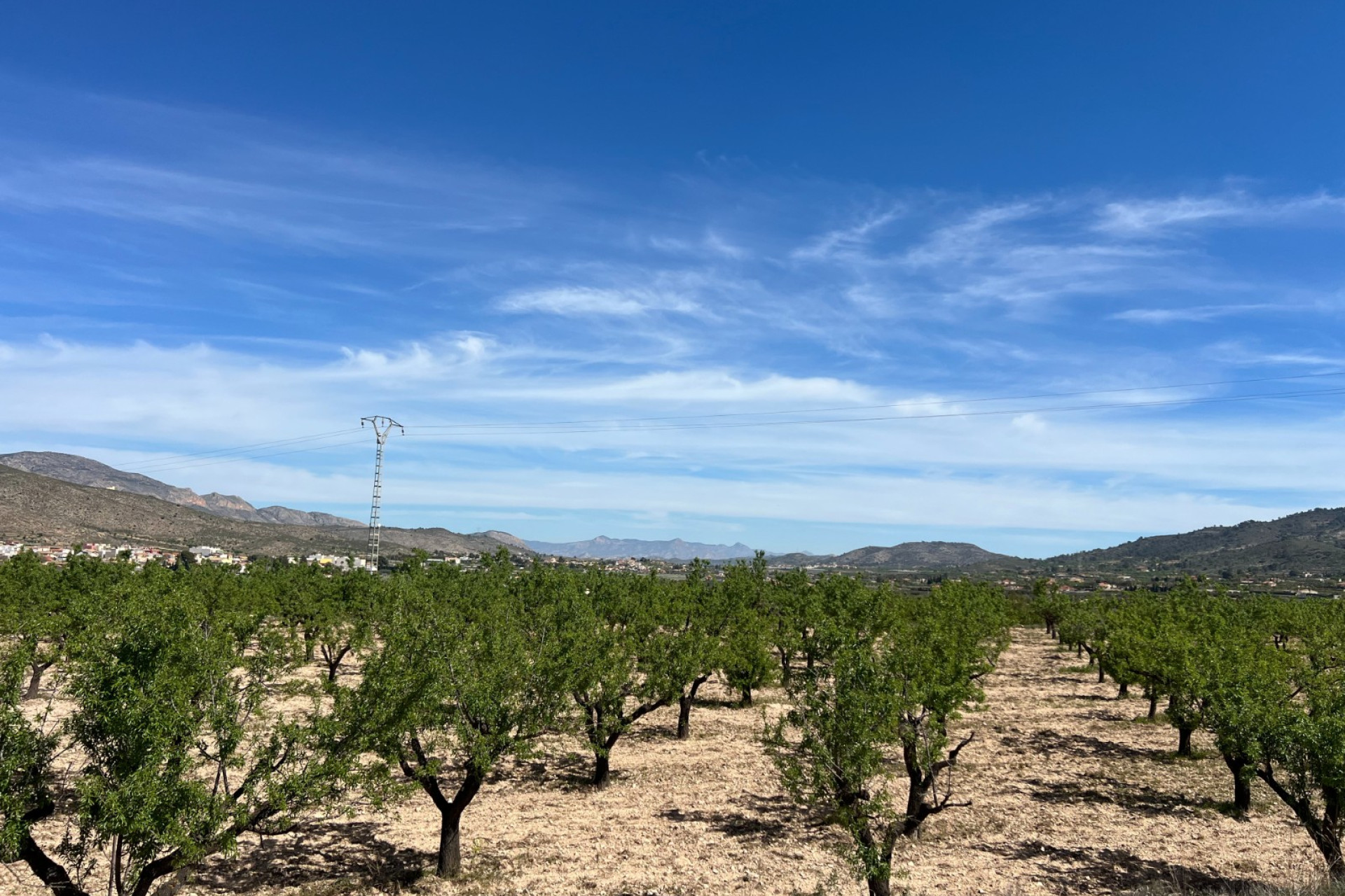 Revente - Terrain -
Hondón de los Fráiles