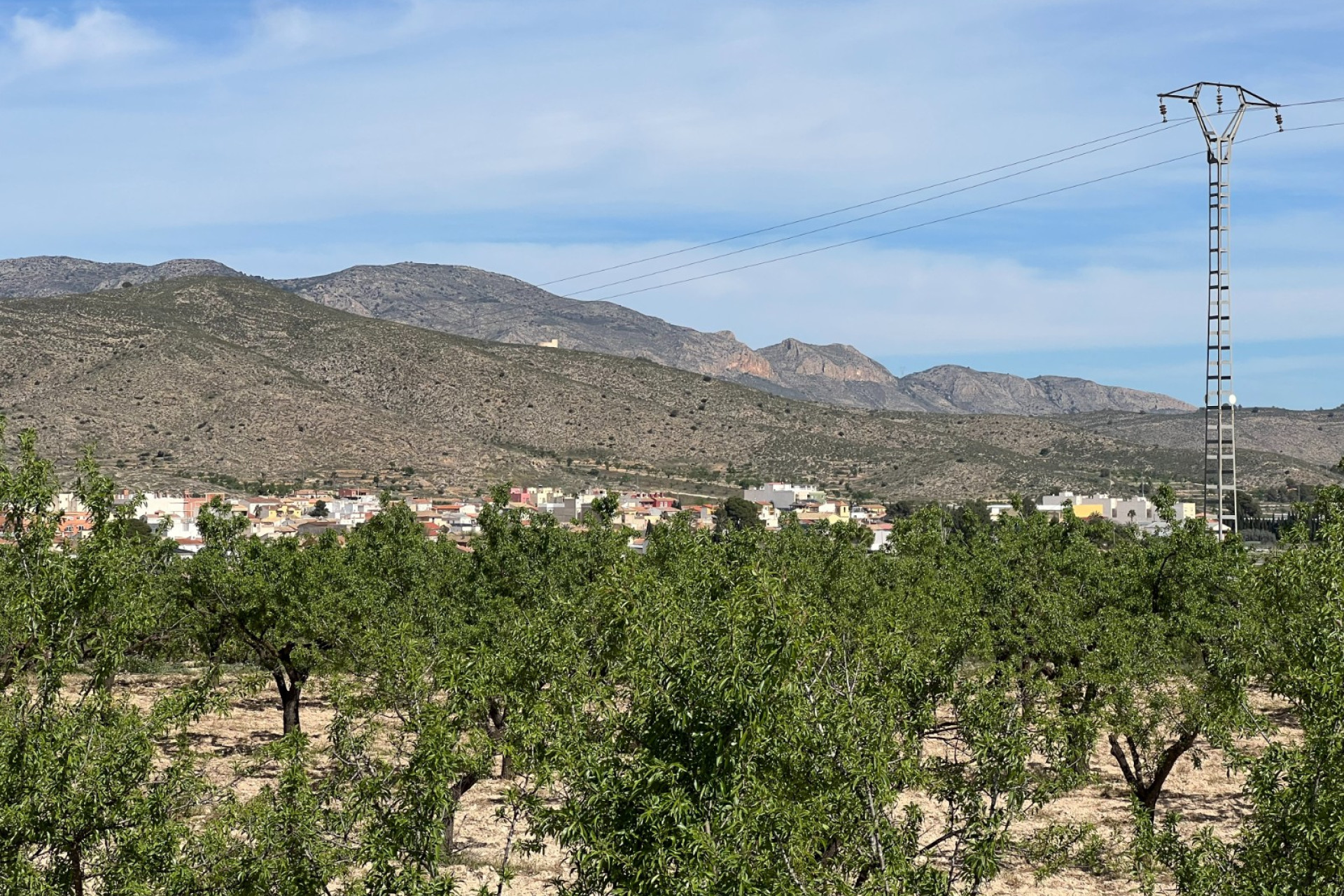 Revente - Terrain -
Hondón de los Fráiles