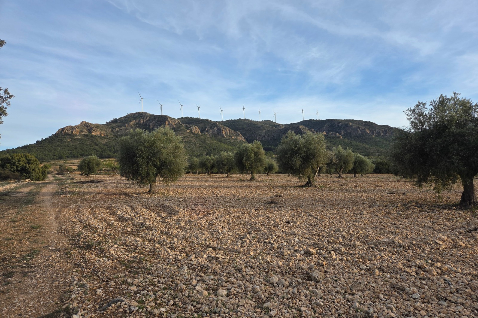 Revente - Terrain -
Jumilla