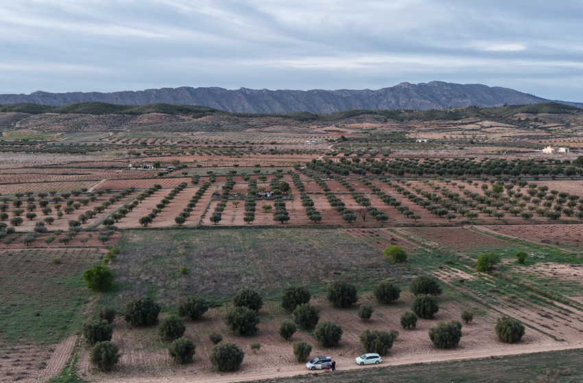 Revente - Terrain -
Jumilla