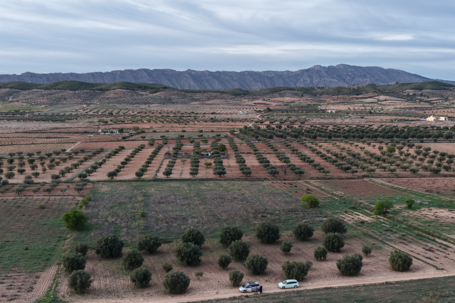 Revente - Terrain -
Jumilla