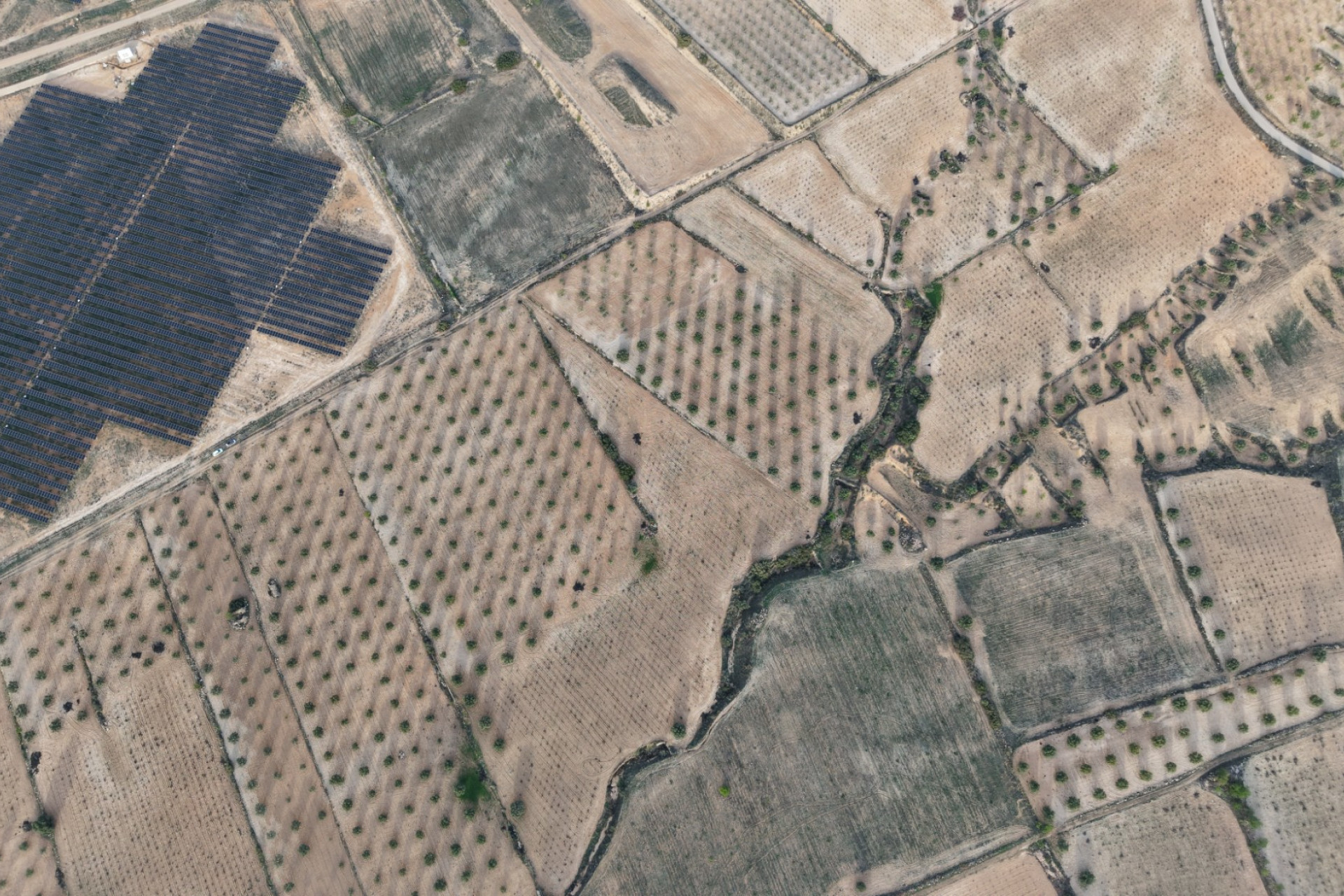 Revente - Terrain -
Jumilla