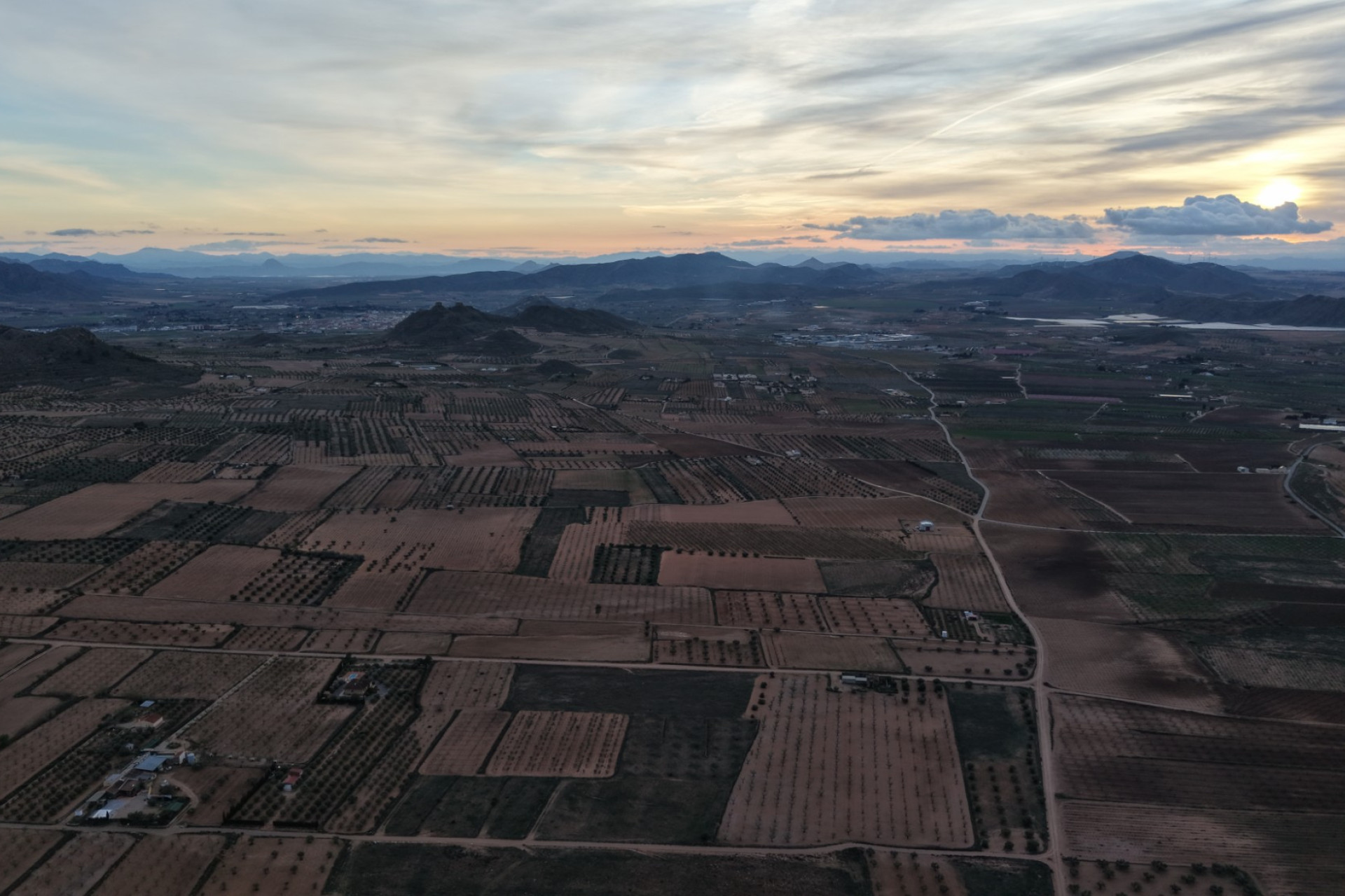 Revente - Terrain -
Jumilla