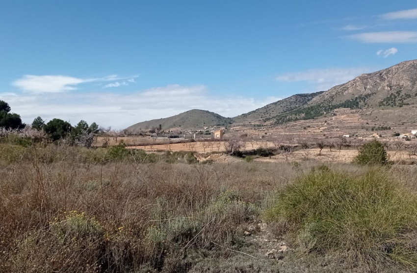 Revente - Terrain -
La Romana