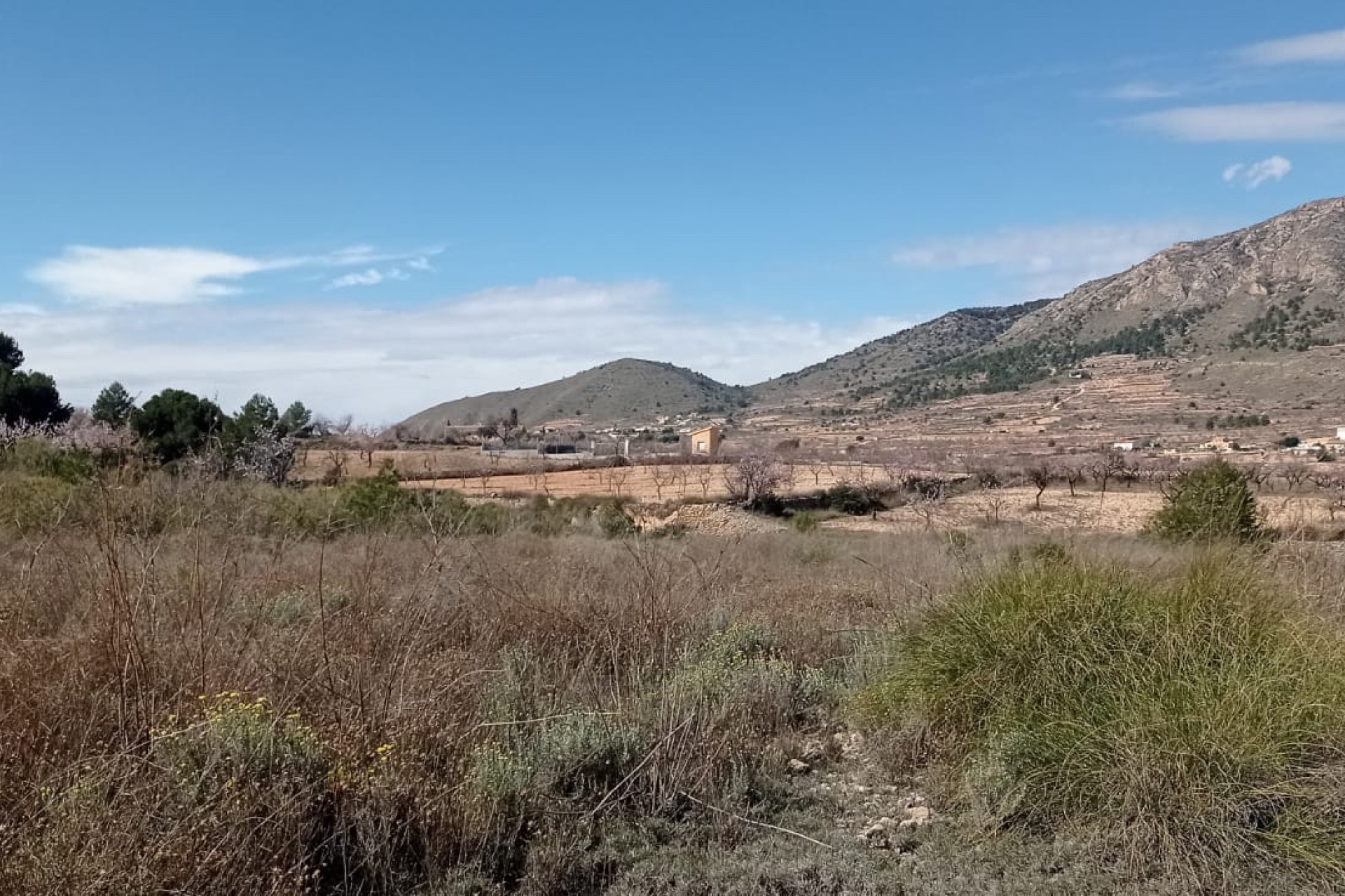 Revente - Terrain -
La Romana