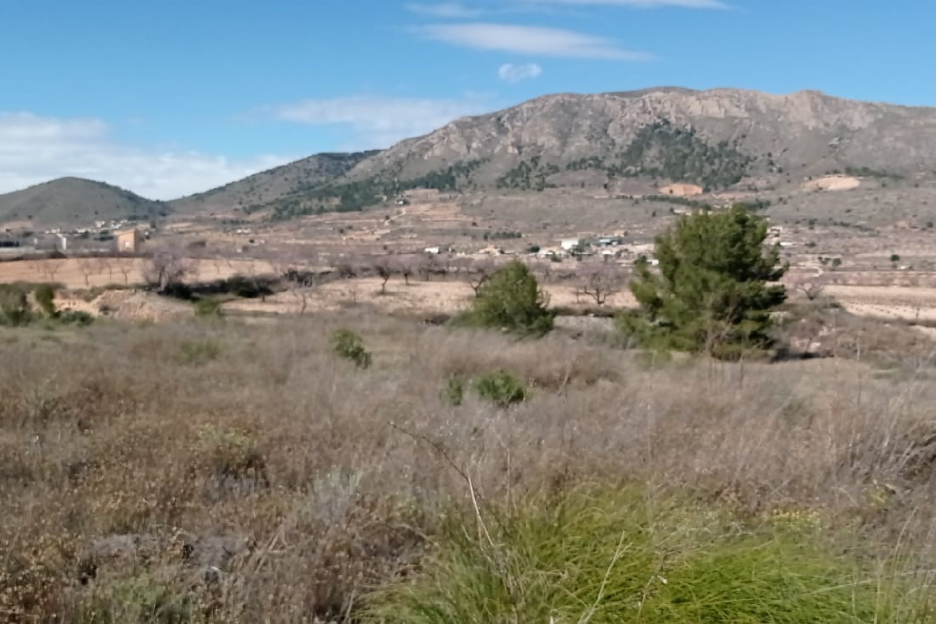 Revente - Terrain -
La Romana