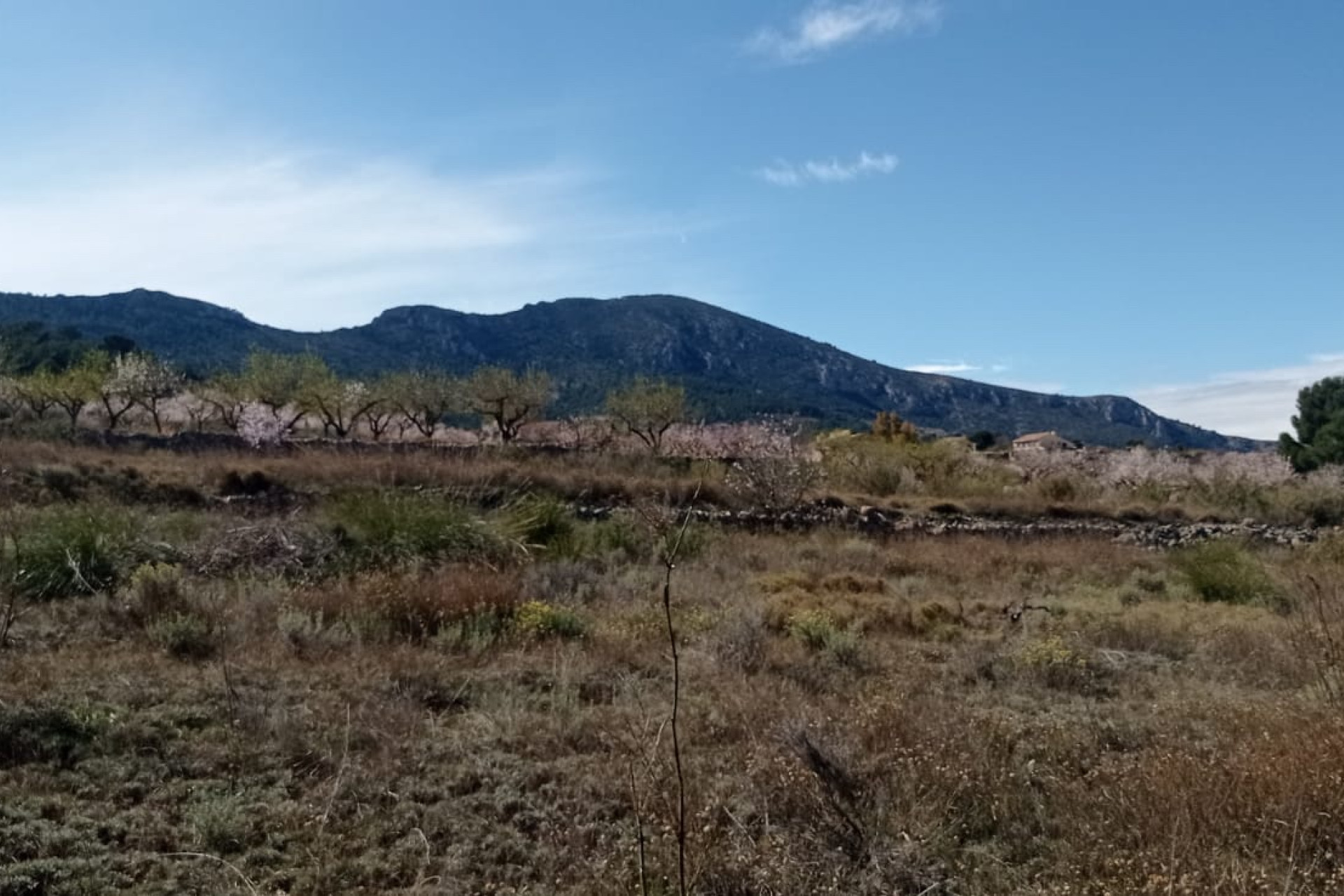 Revente - Terrain -
La Romana