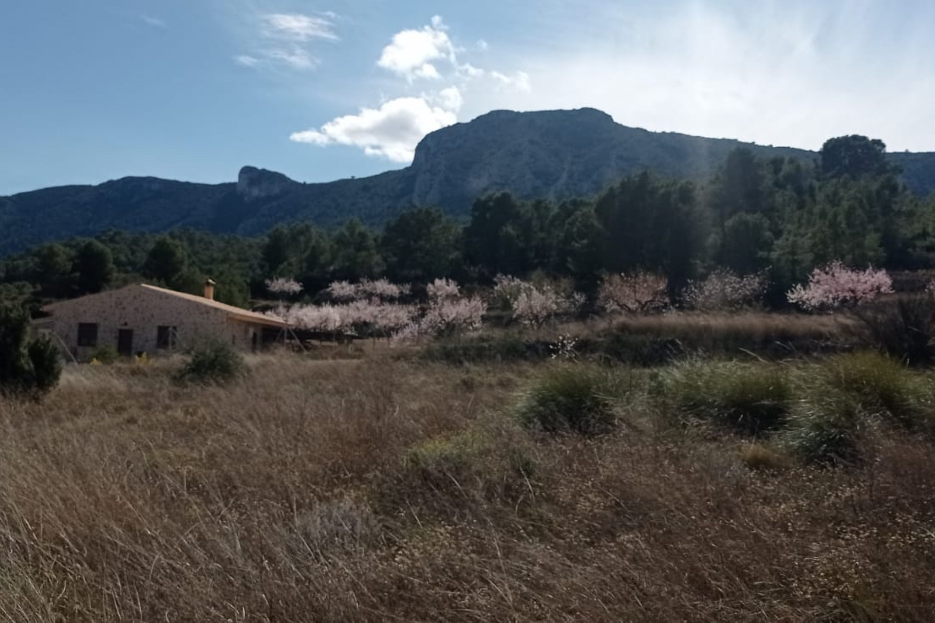 Revente - Terrain -
La Romana