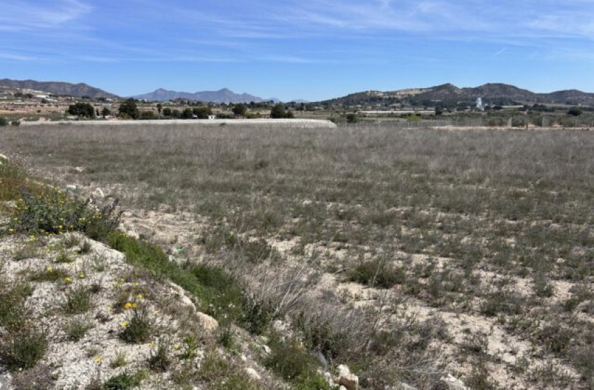 Revente - Terrain -
La Romana