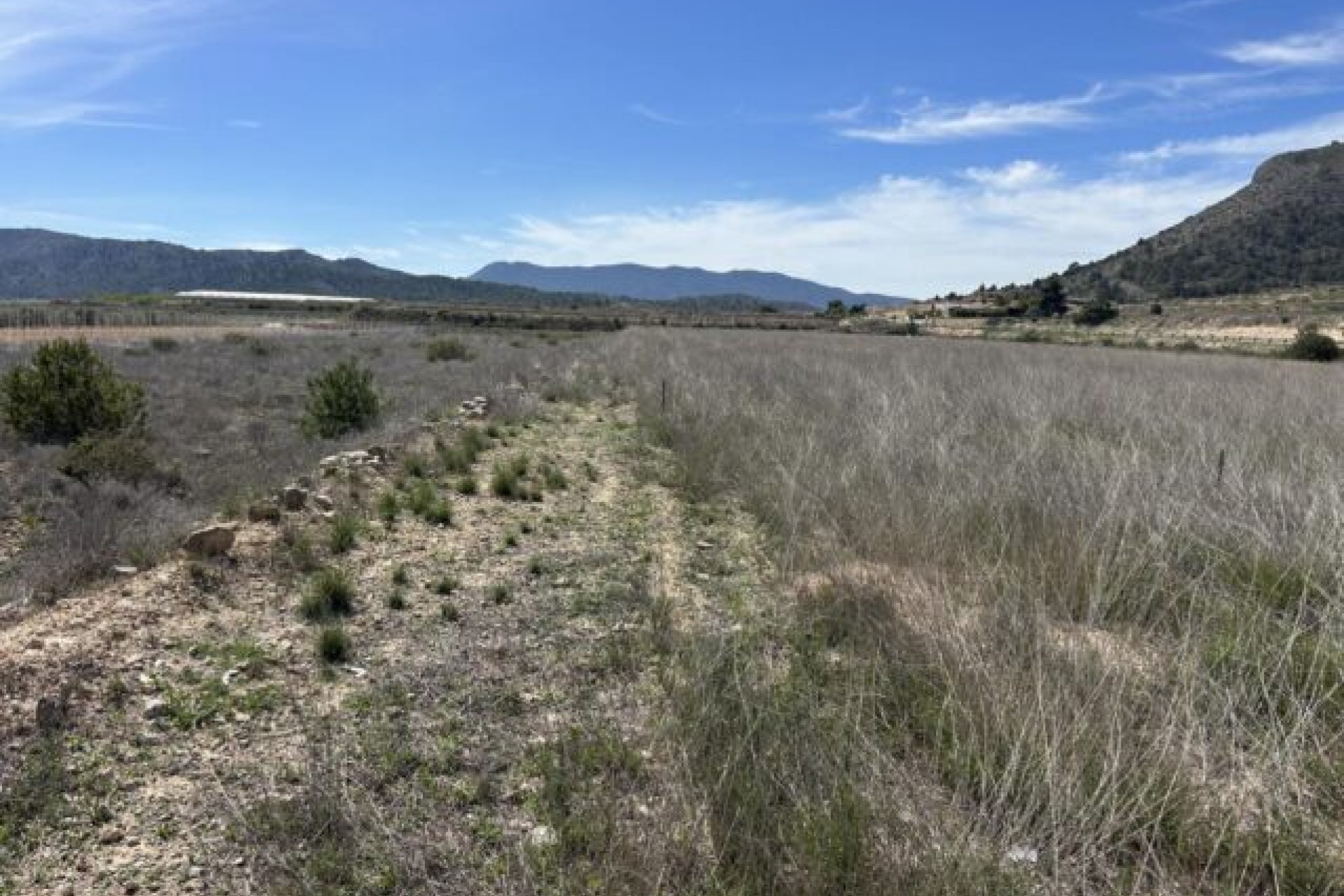 Revente - Terrain -
La Romana