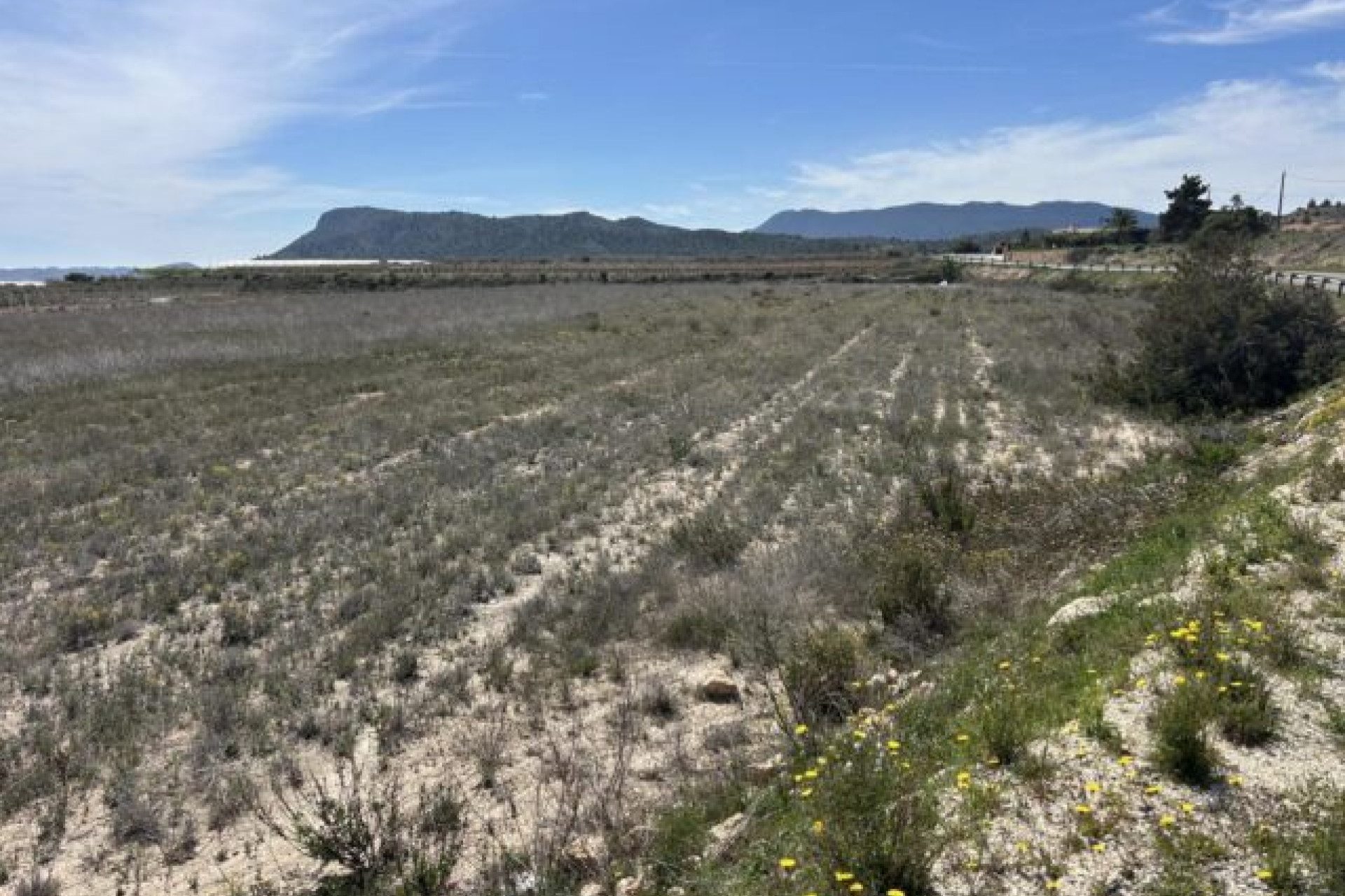 Revente - Terrain -
La Romana