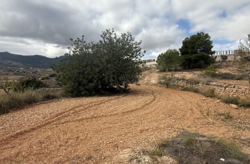 Revente - Terrain -
La Romana