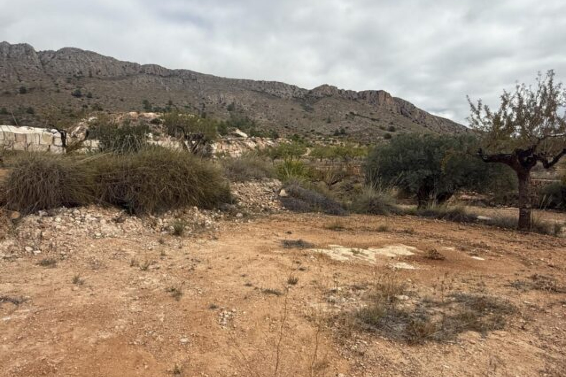 Revente - Terrain -
La Romana