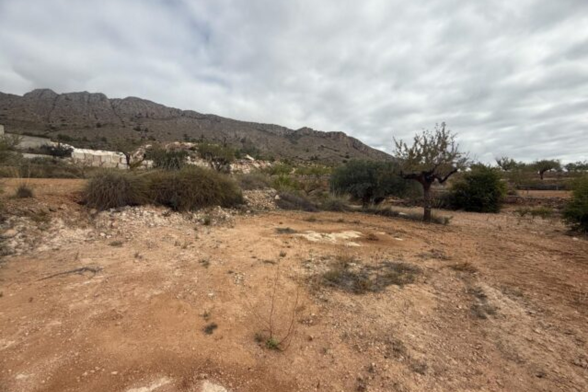 Revente - Terrain -
La Romana