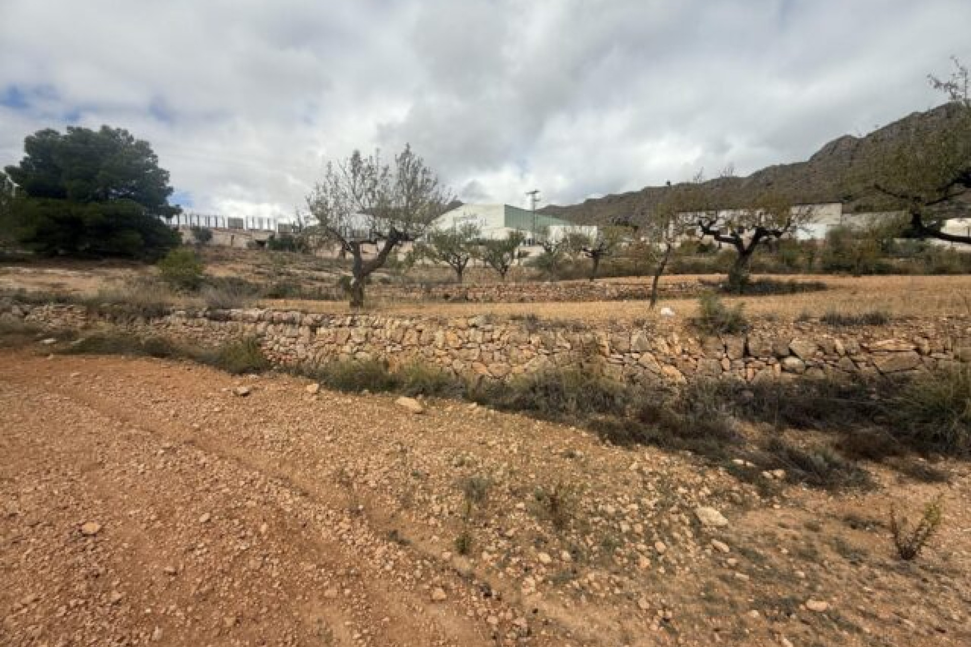 Revente - Terrain -
La Romana