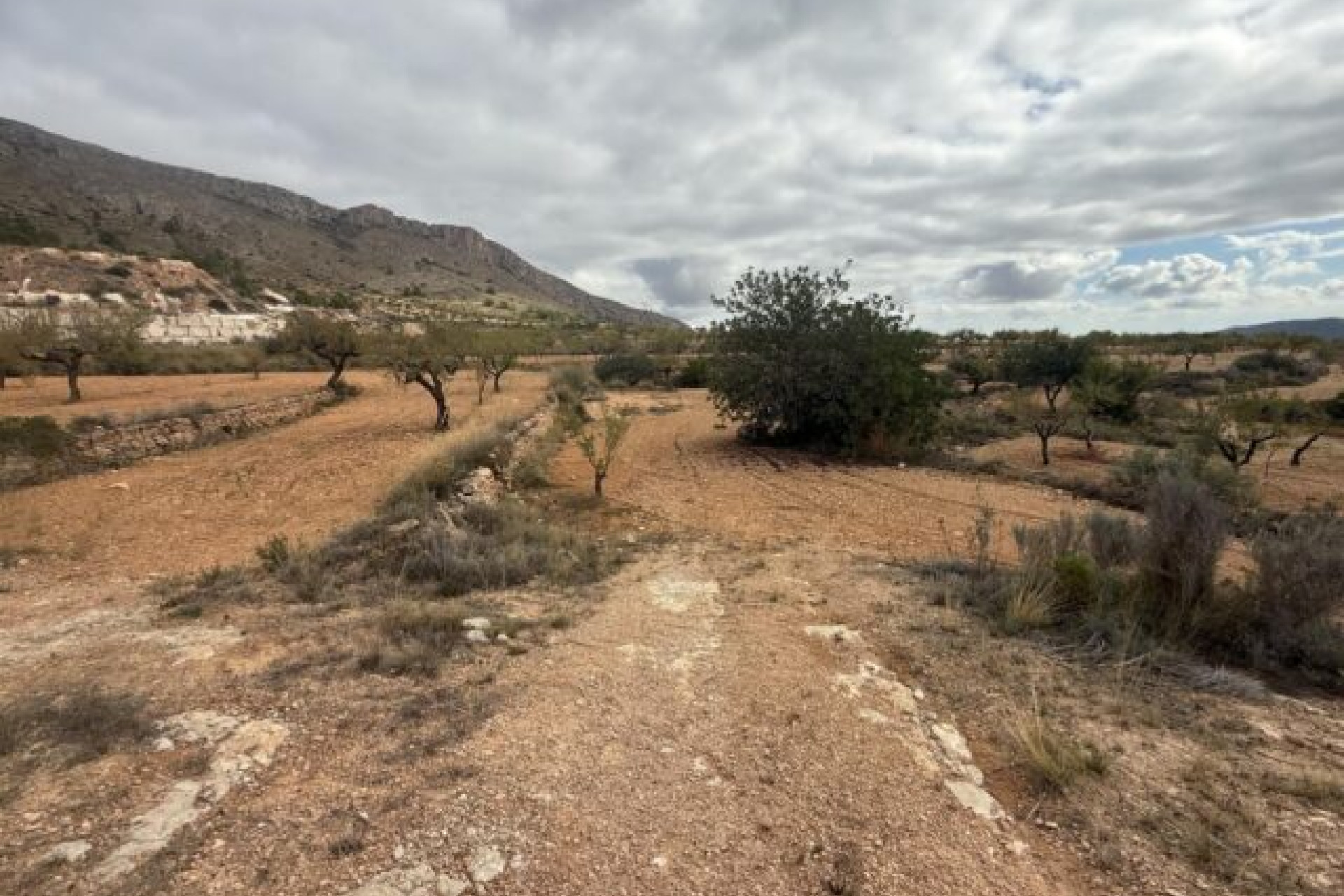 Revente - Terrain -
La Romana