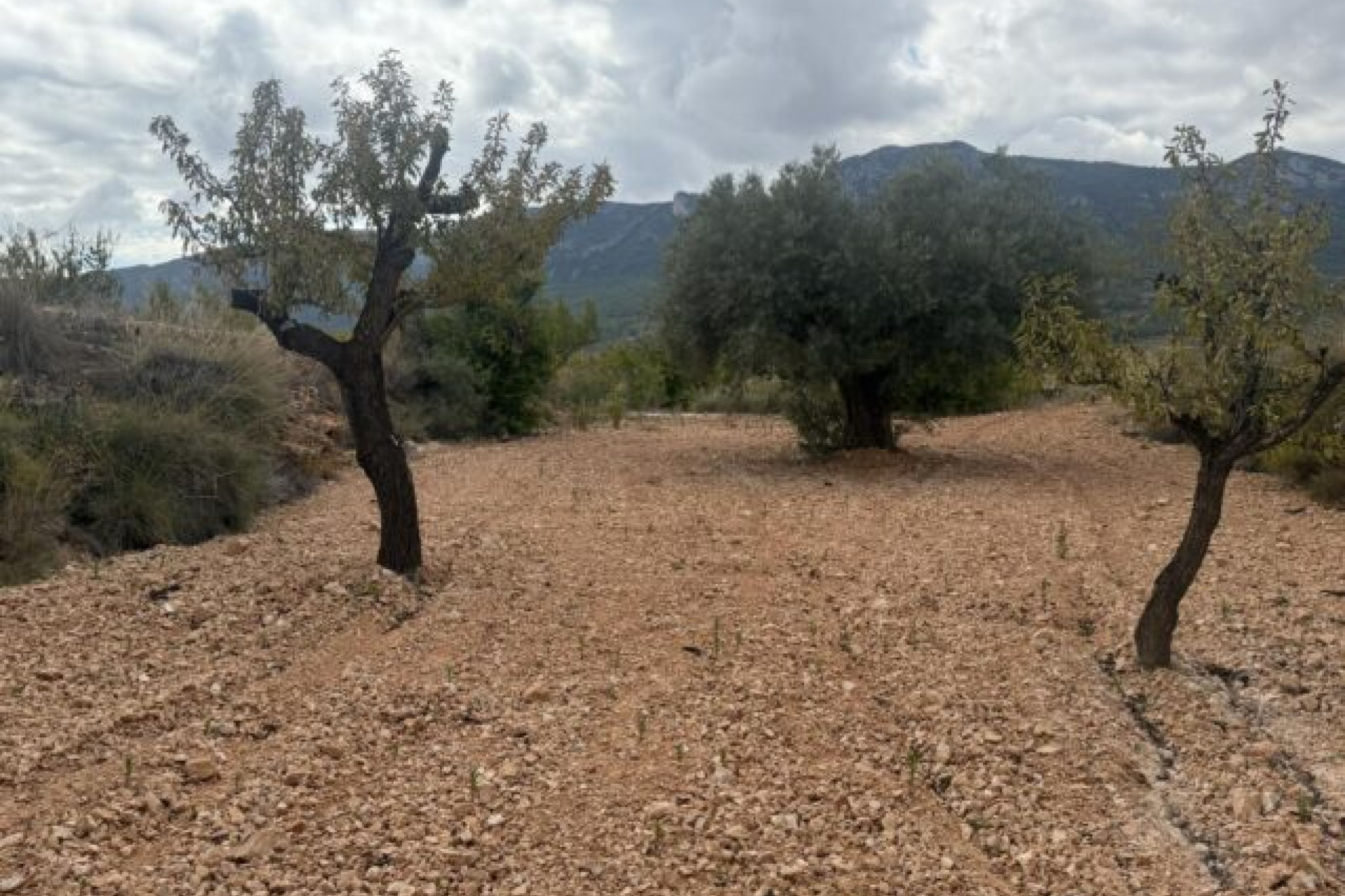 Revente - Terrain -
La Romana