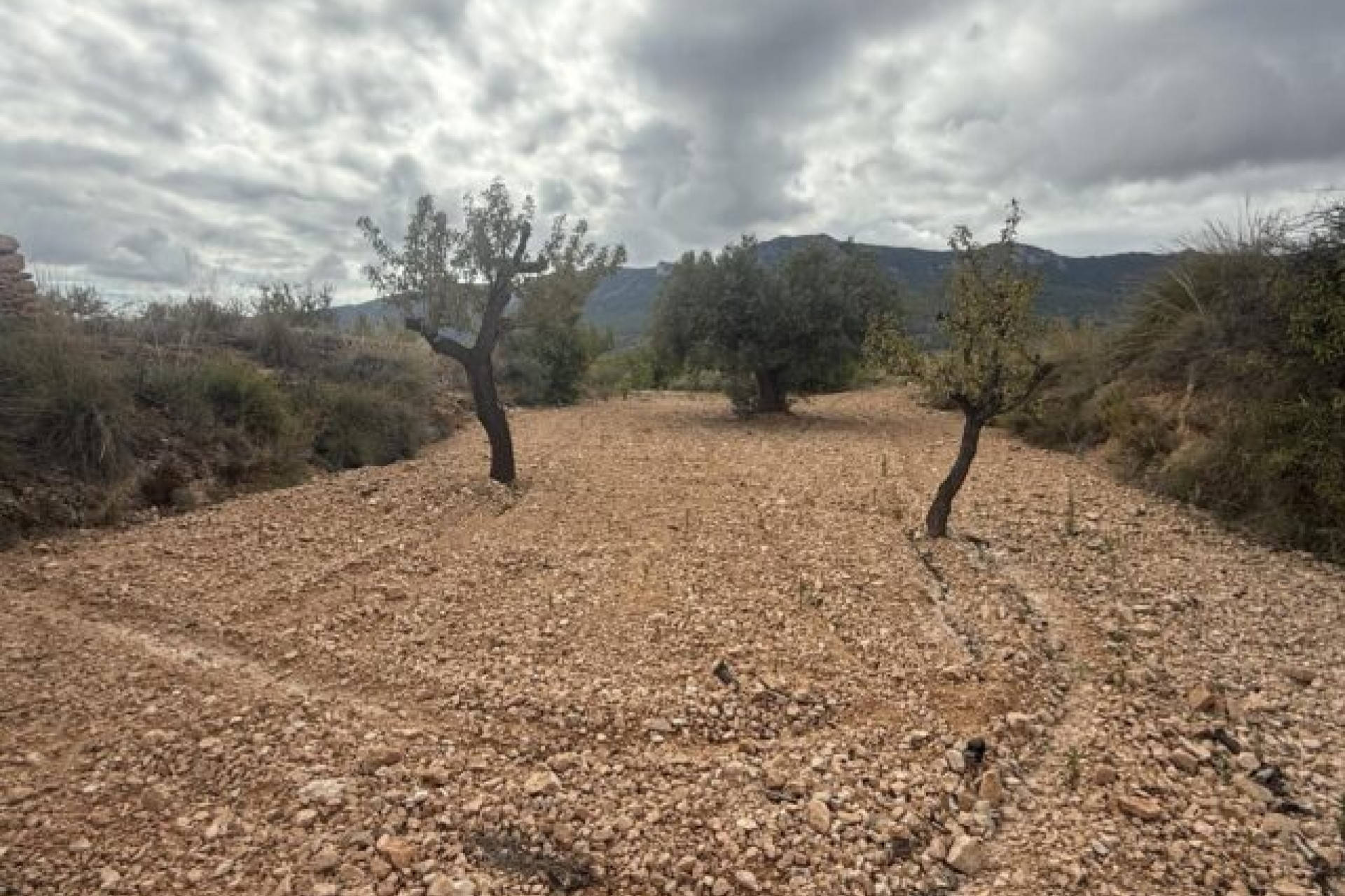 Revente - Terrain -
La Romana