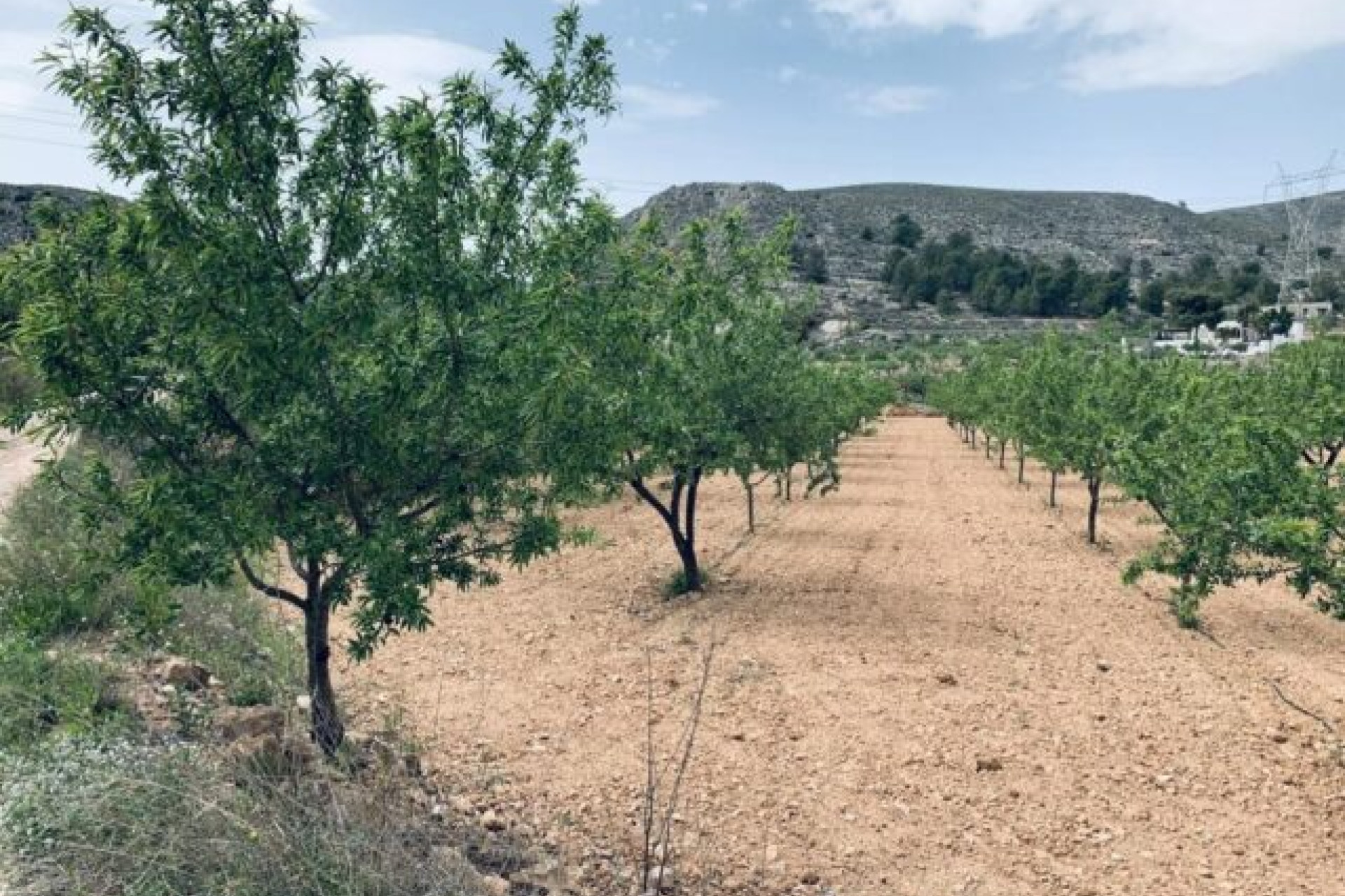 Revente - Terrain -
La Romana