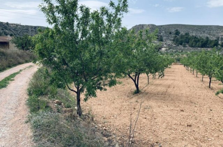 Revente - Terrain -
La Romana