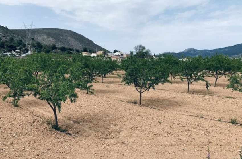 Revente - Terrain -
La Romana