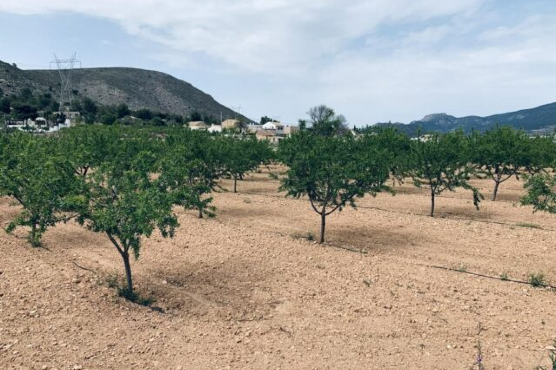 Revente - Terrain -
La Romana