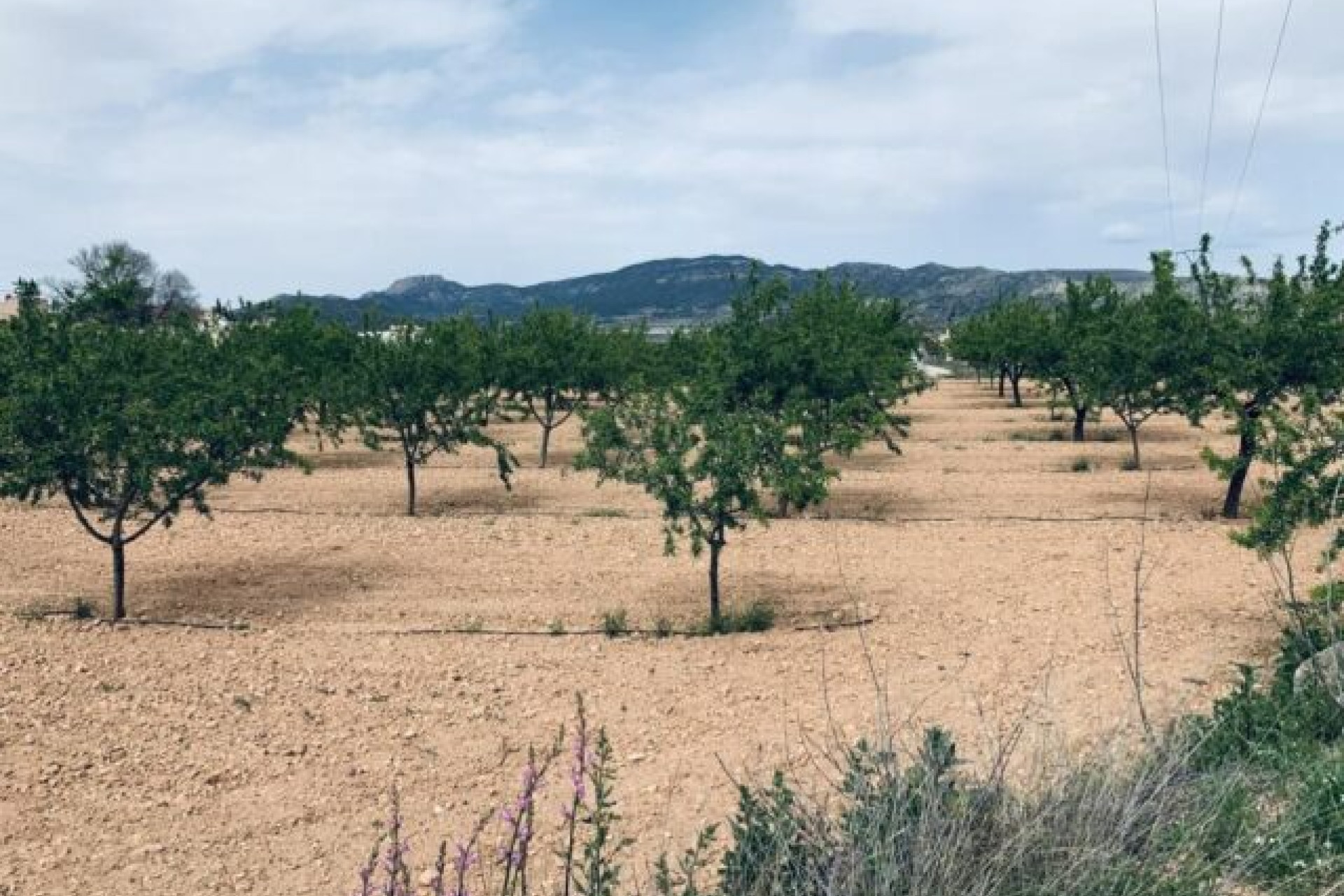 Revente - Terrain -
La Romana