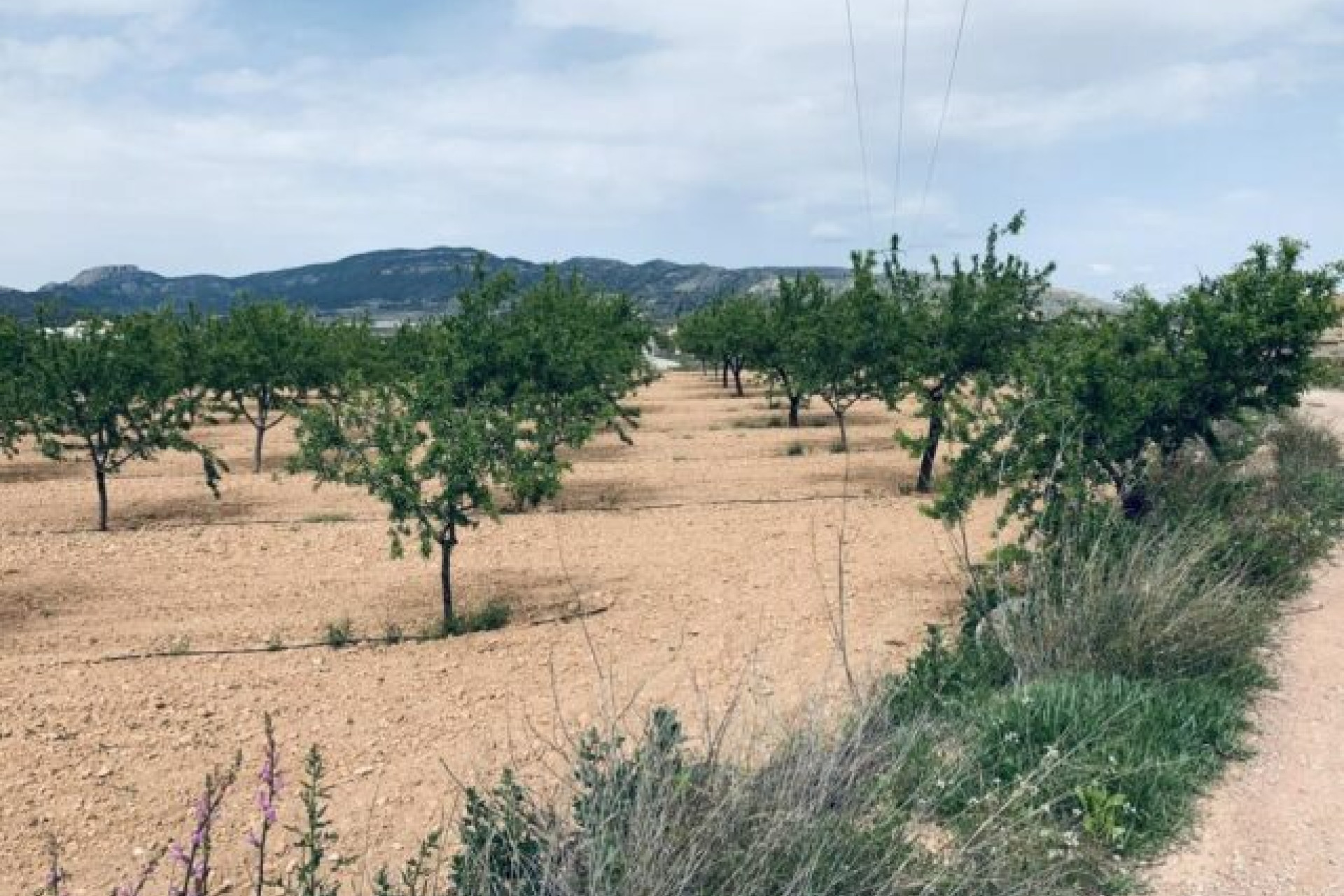 Revente - Terrain -
La Romana