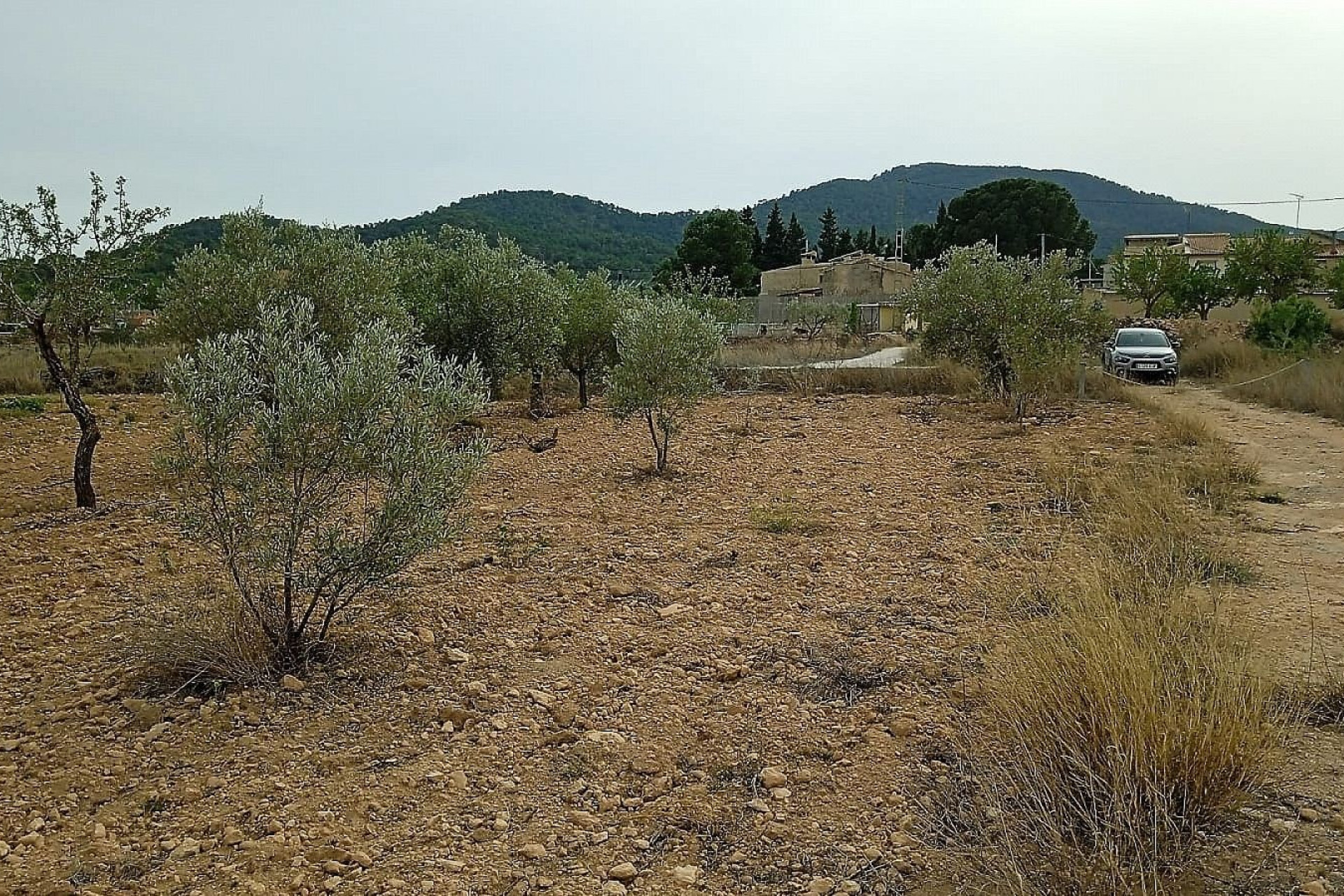 Revente - Terrain -
Mon&oacute;var - Monovar