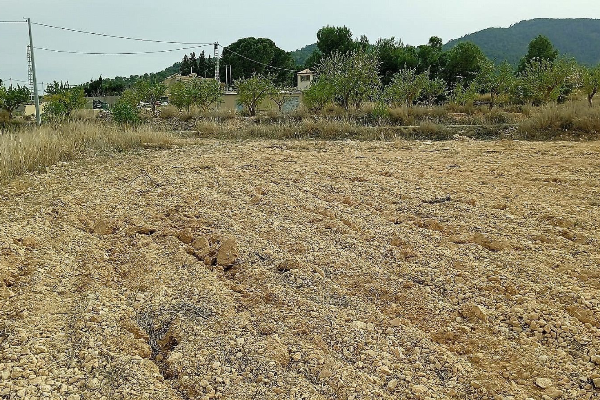 Revente - Terrain -
Mon&oacute;var - Monovar