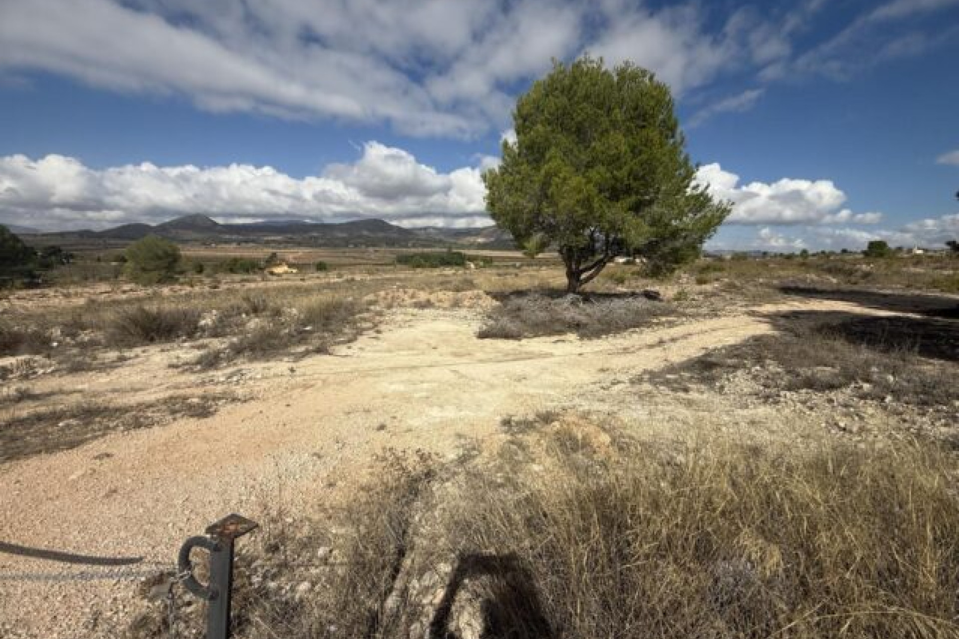 Revente - Terrain -
Monovar