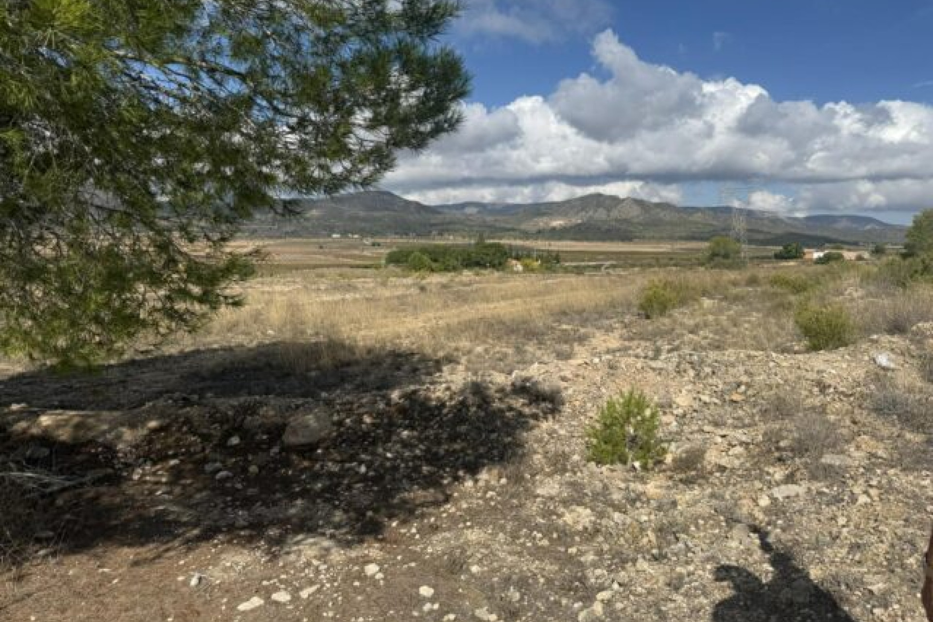 Revente - Terrain -
Monovar