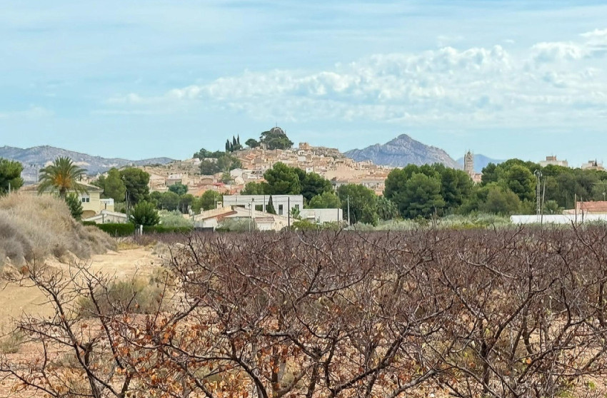 Revente - Terrain -
Monovar