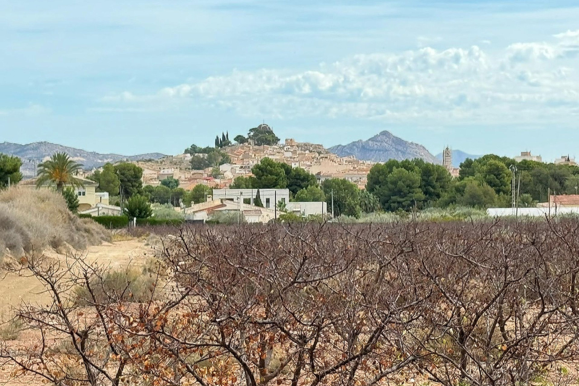 Revente - Terrain -
Monovar