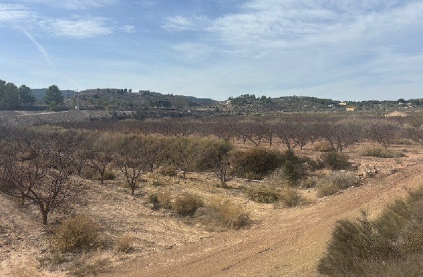 Revente - Terrain -
Monovar