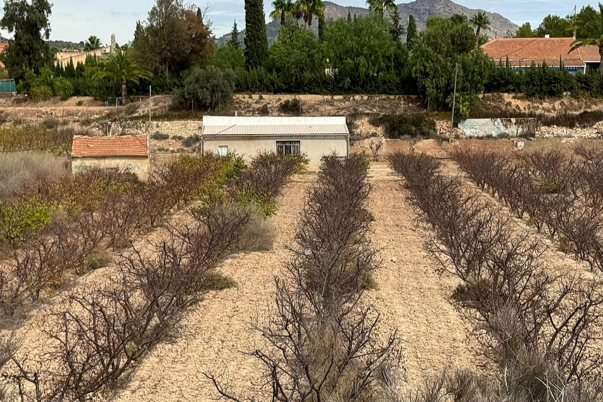 Revente - Terrain -
Monovar