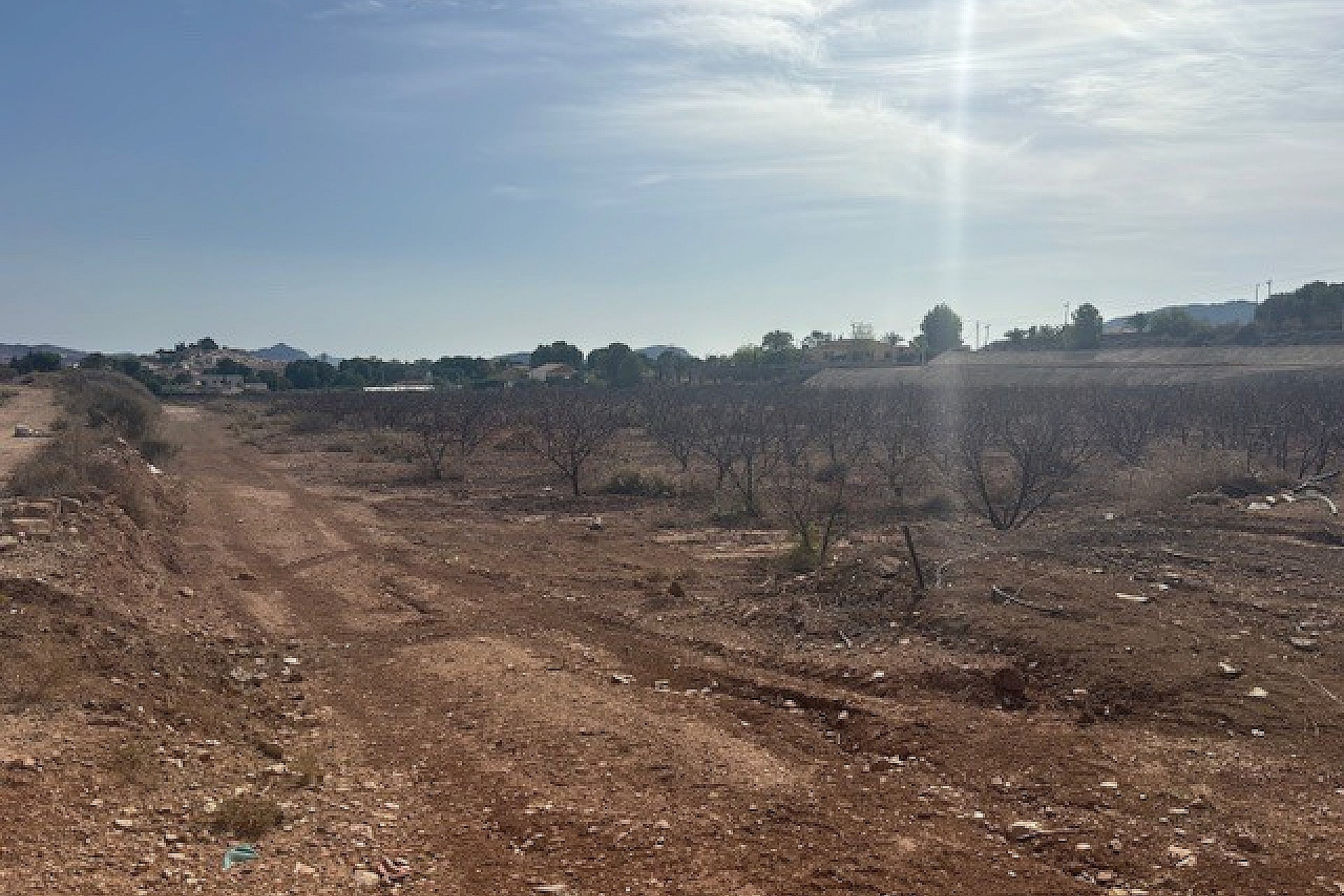 Revente - Terrain -
Monovar