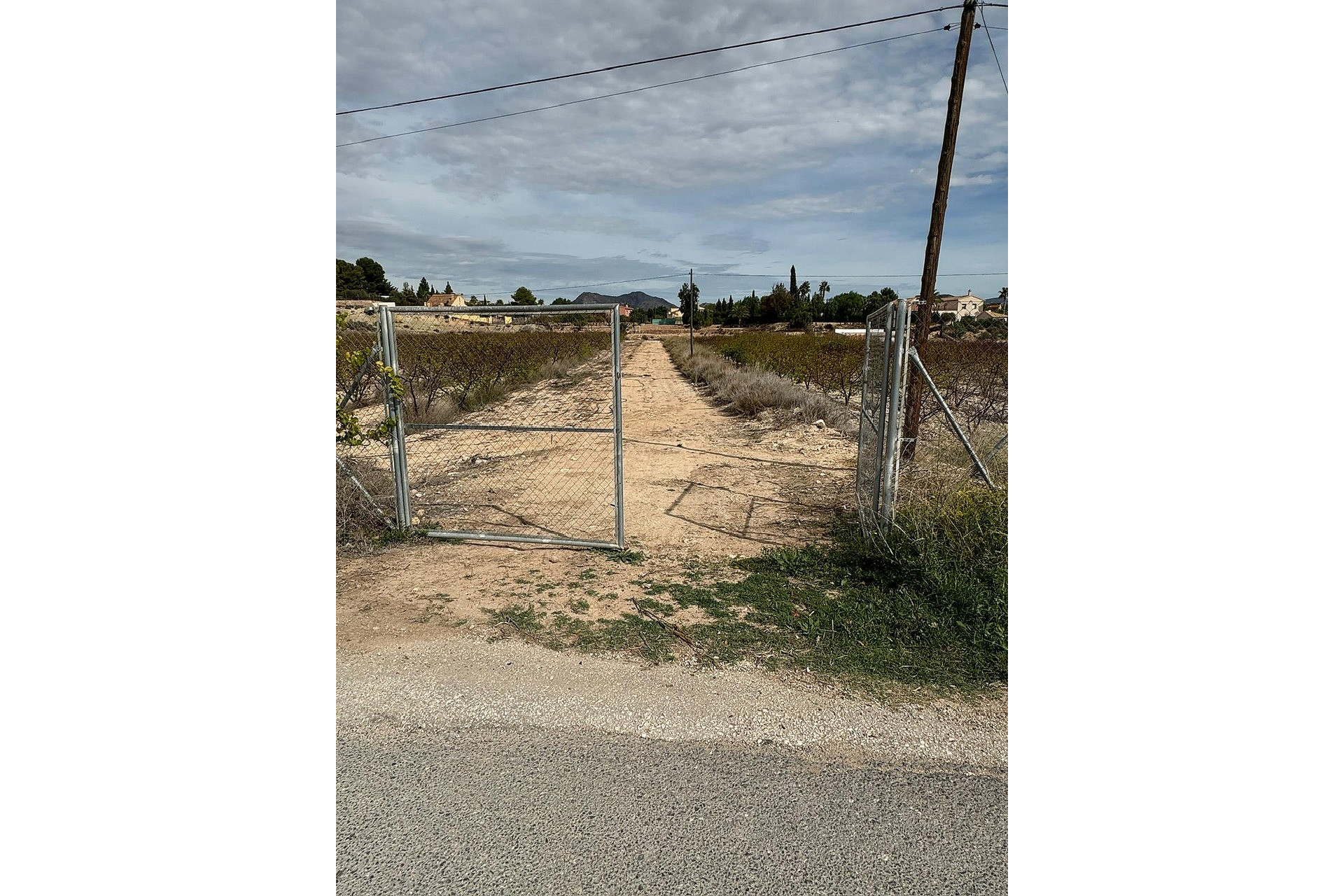 Revente - Terrain -
Monovar