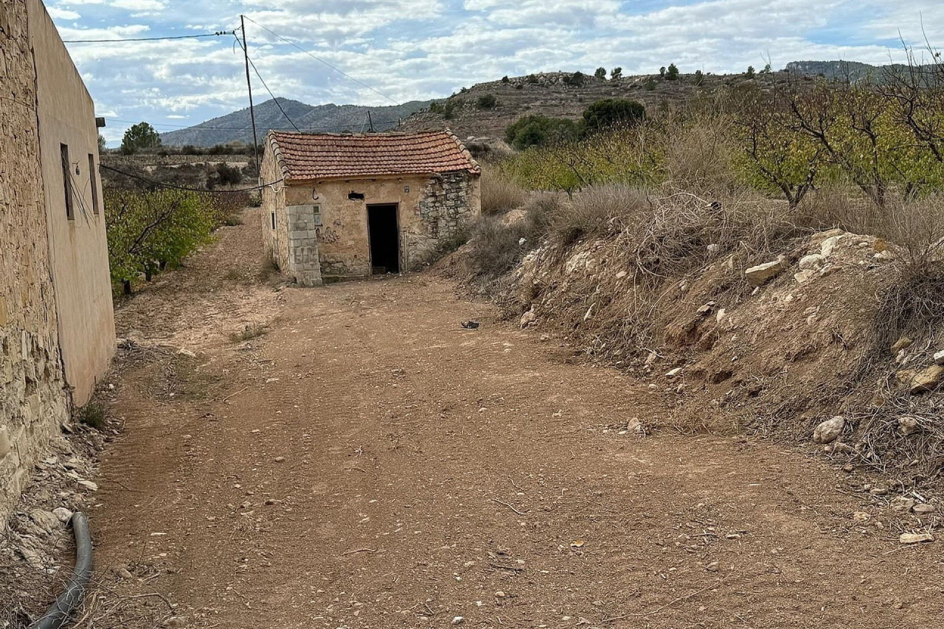 Revente - Terrain -
Monovar