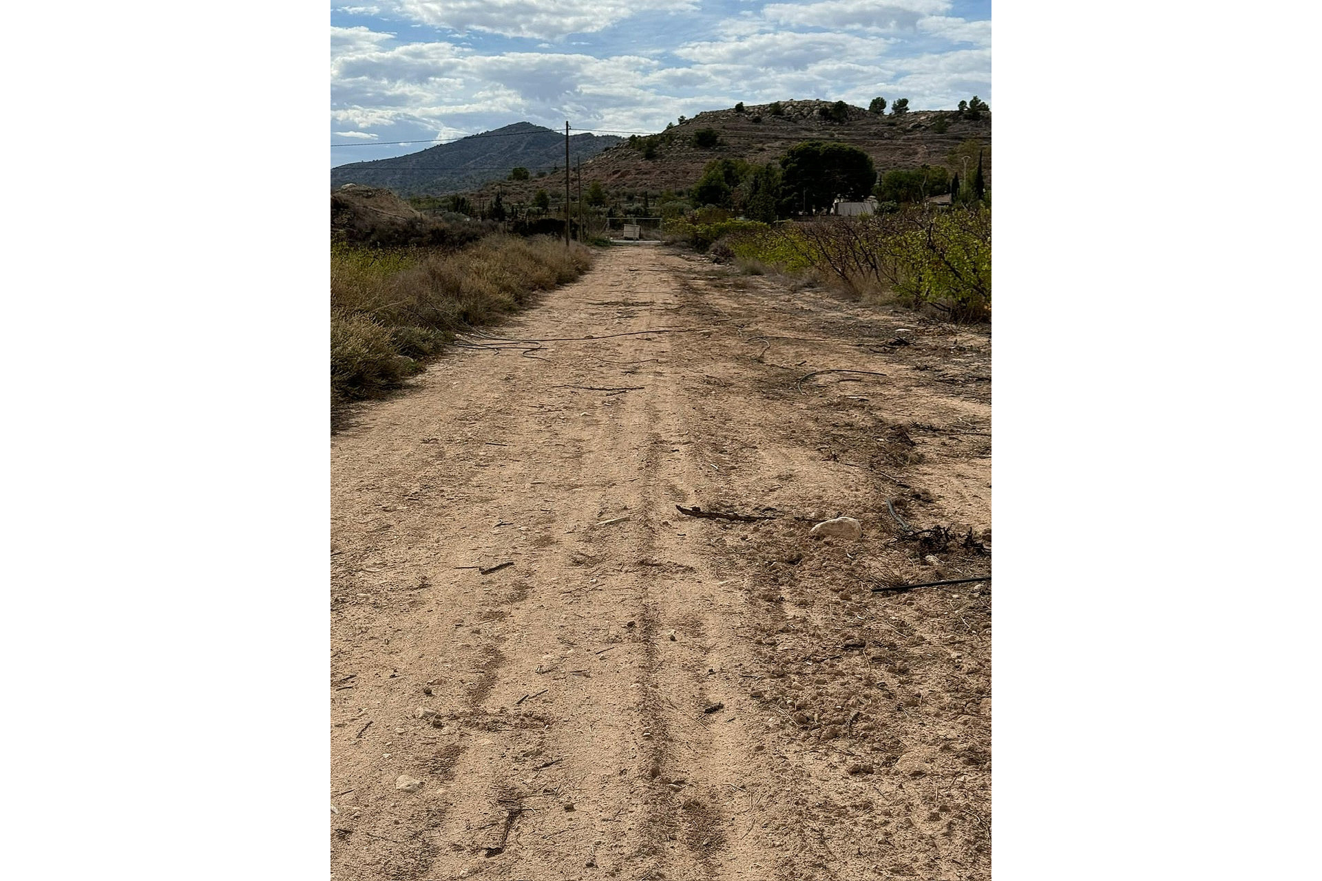 Revente - Terrain -
Monovar