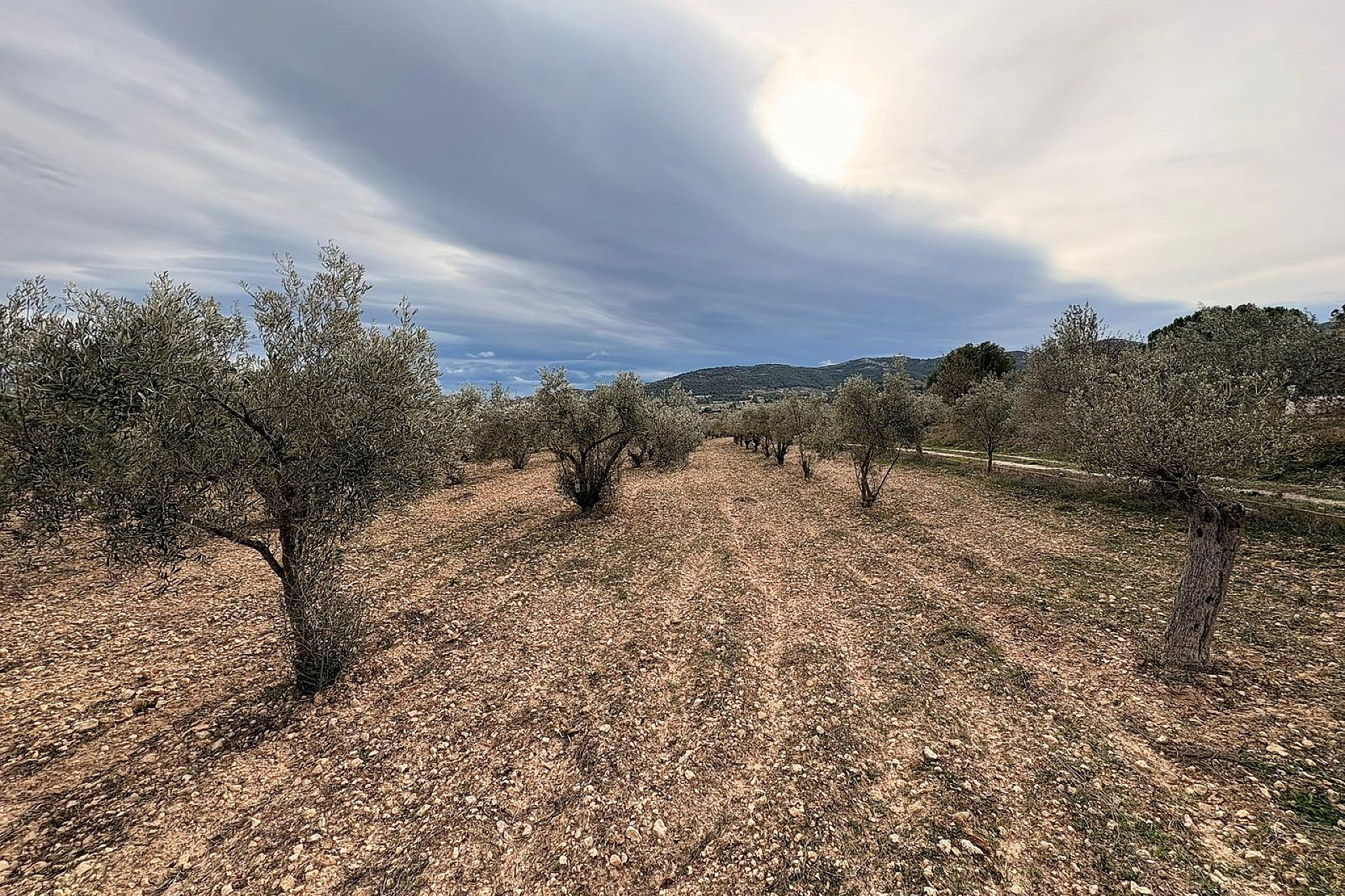 Revente - Terrain -
Onil