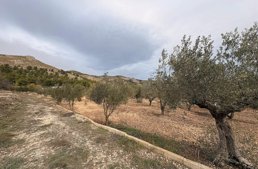 Revente - Terrain -
Onil