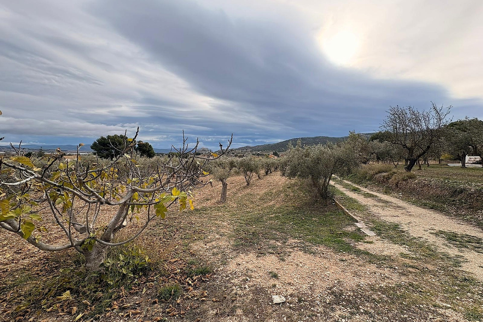 Revente - Terrain -
Onil