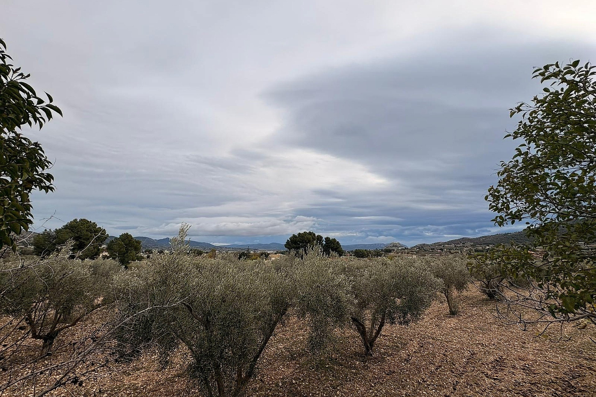 Revente - Terrain -
Onil