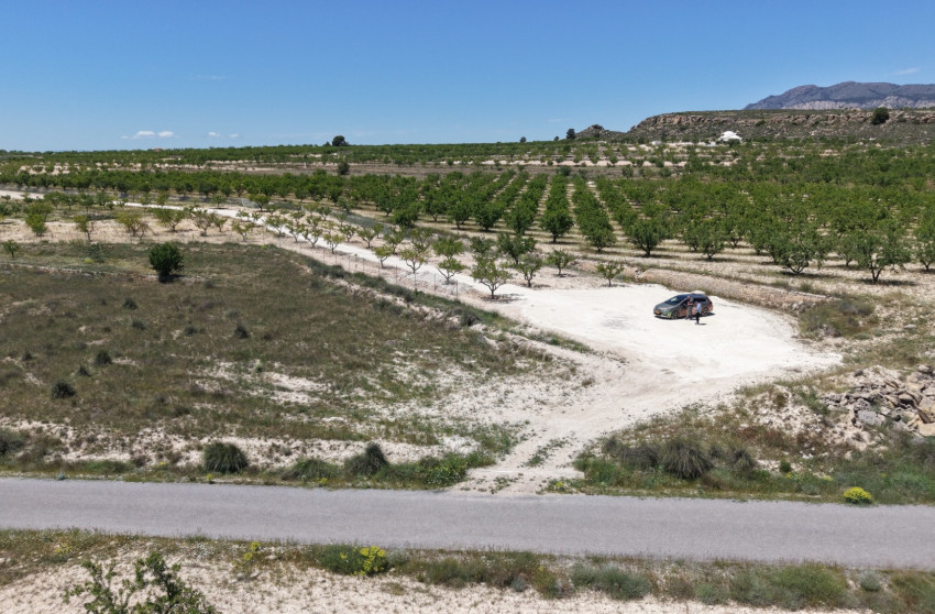 Revente - Terrain -
Pinoso - PINOSO