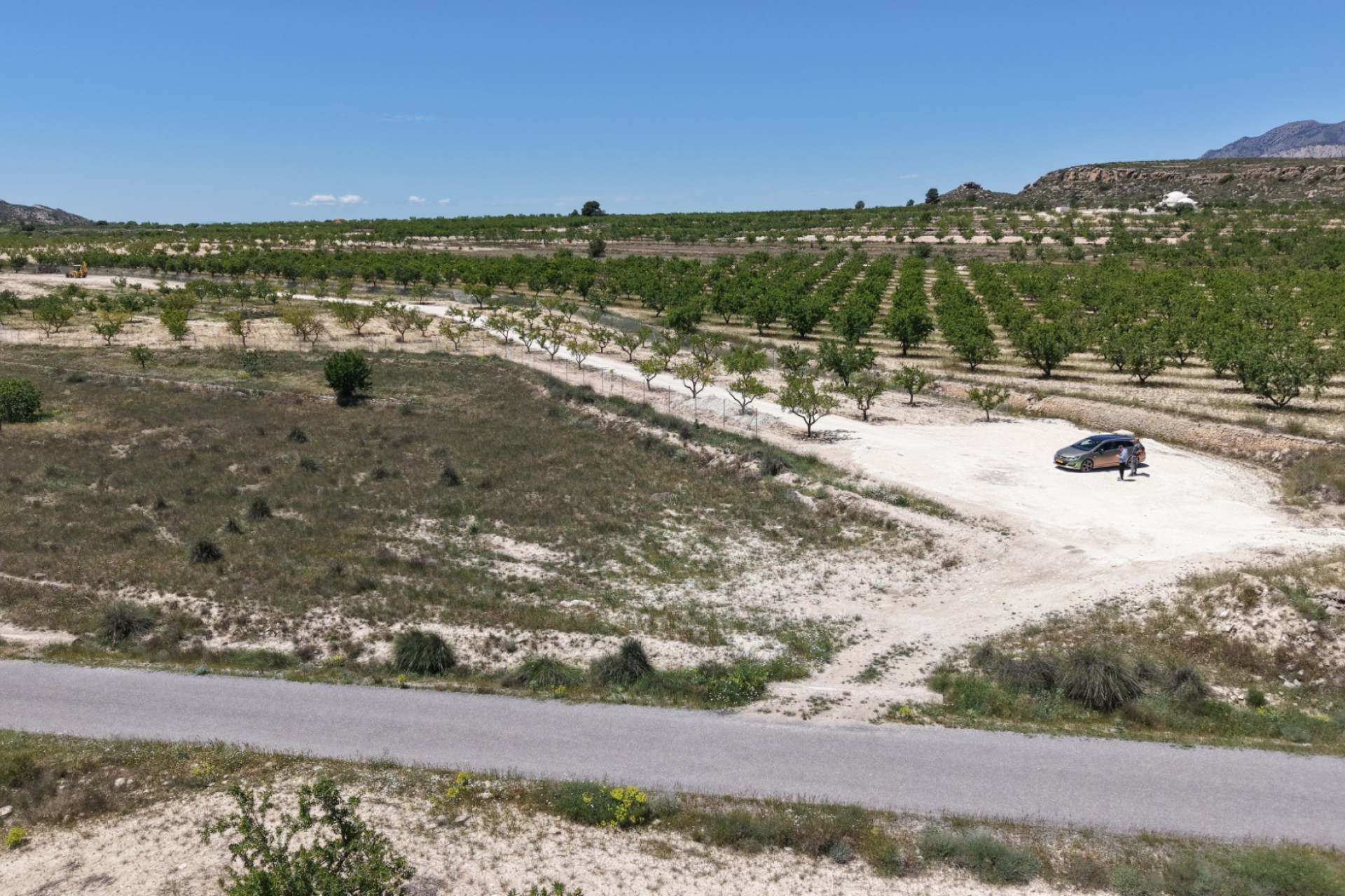 Revente - Terrain -
Pinoso - PINOSO