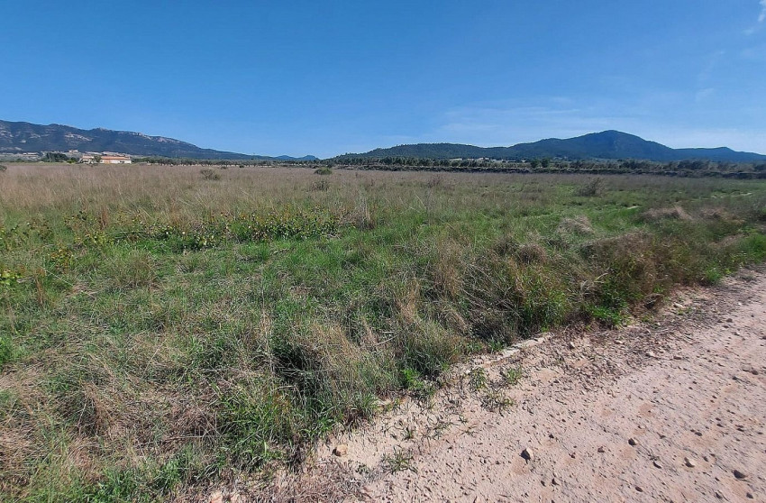 Revente - Terrain -
Salinas