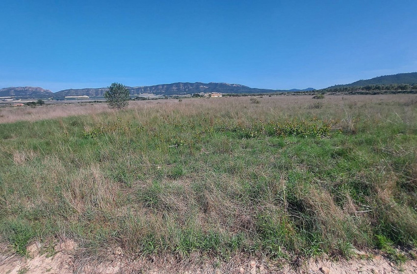 Revente - Terrain -
Salinas