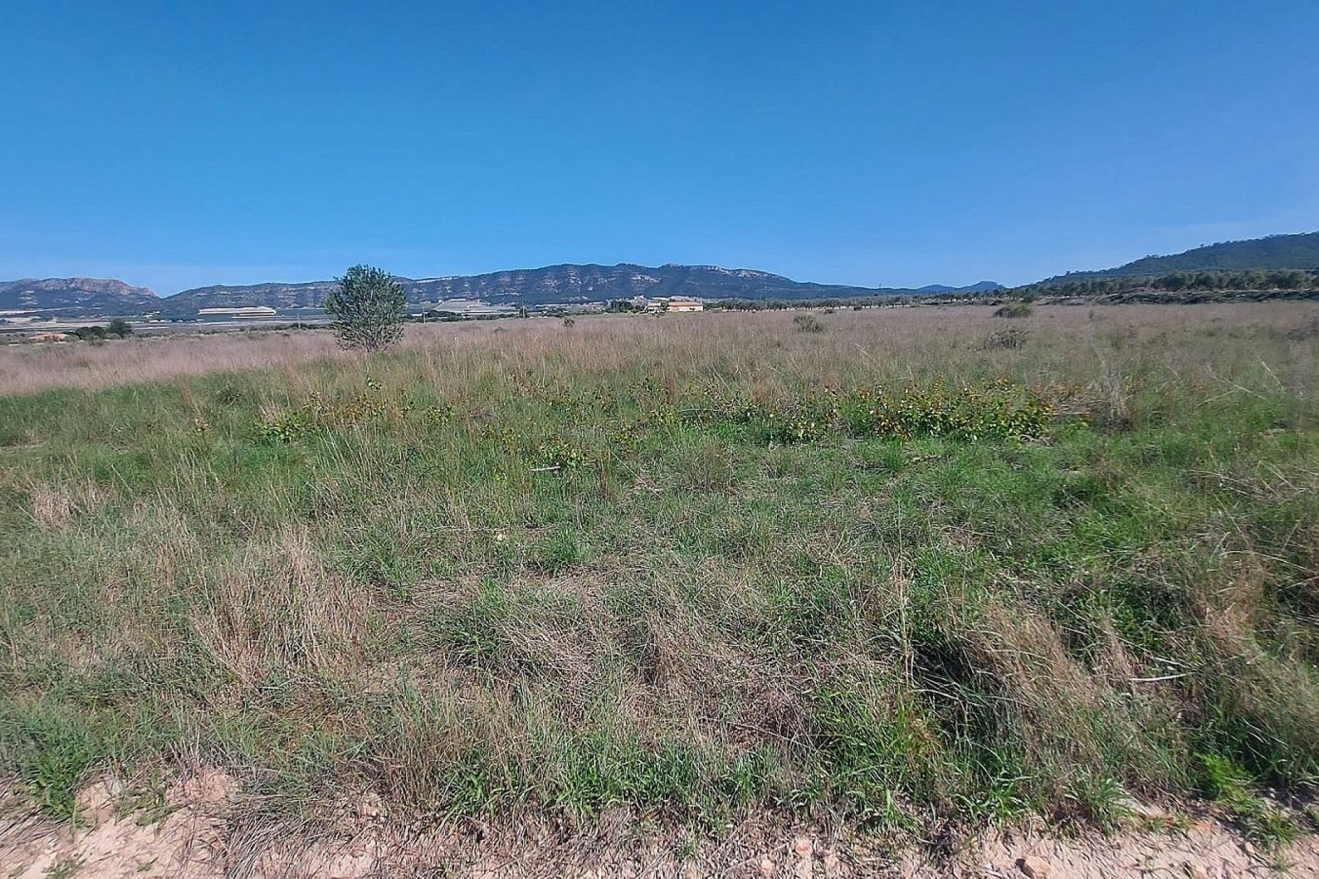 Revente - Terrain -
Salinas